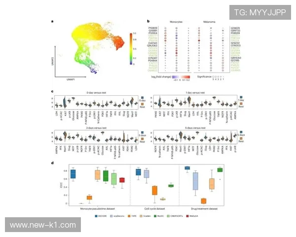 吉鲁与伊布在转化率上出现分散结构差异