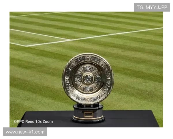 维纳斯家那天早餐花了五百块盘子都看懵了，真不是打网球那么简单的活儿啊